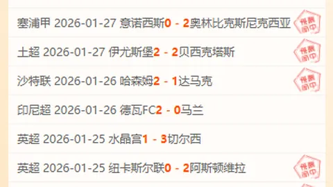 印尼政坛高层变动加速，西化倾向引发热议，克鲁伊维特成新领导热门人选引关注